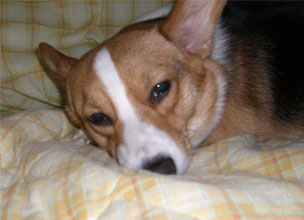 ����̃l�^�͎��Ƃ͖����݂����E�E�E